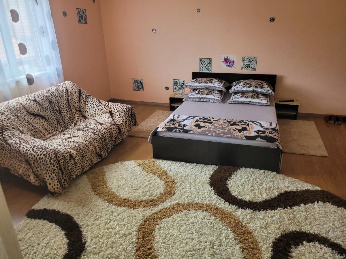 Vila La Izvorul Putinei Haţeg Екстериор снимка
