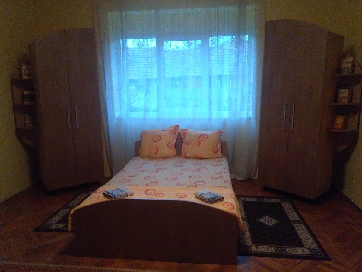 Vila La Izvorul Putinei Haţeg Екстериор снимка