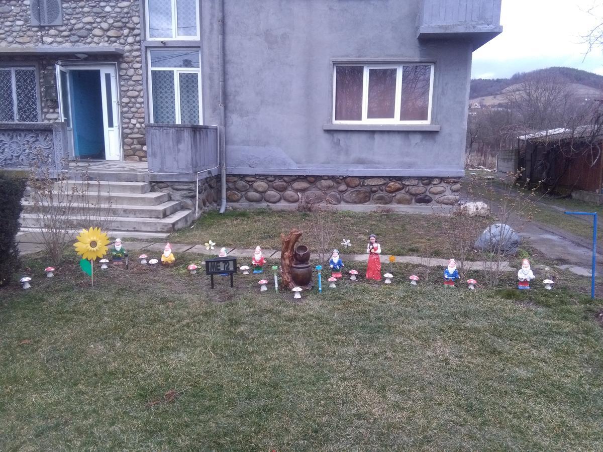 Vila La Izvorul Putinei Haţeg Екстериор снимка