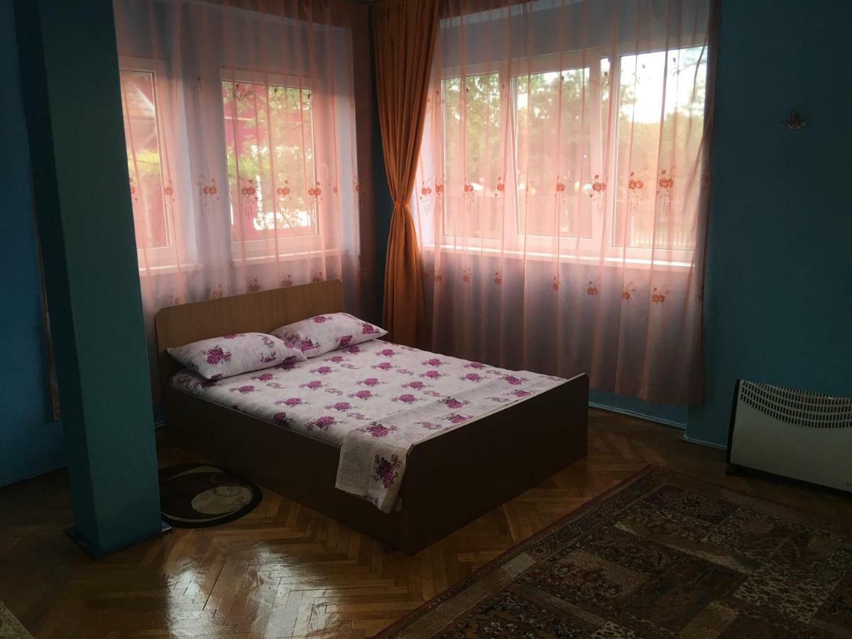 Vila La Izvorul Putinei Haţeg Екстериор снимка